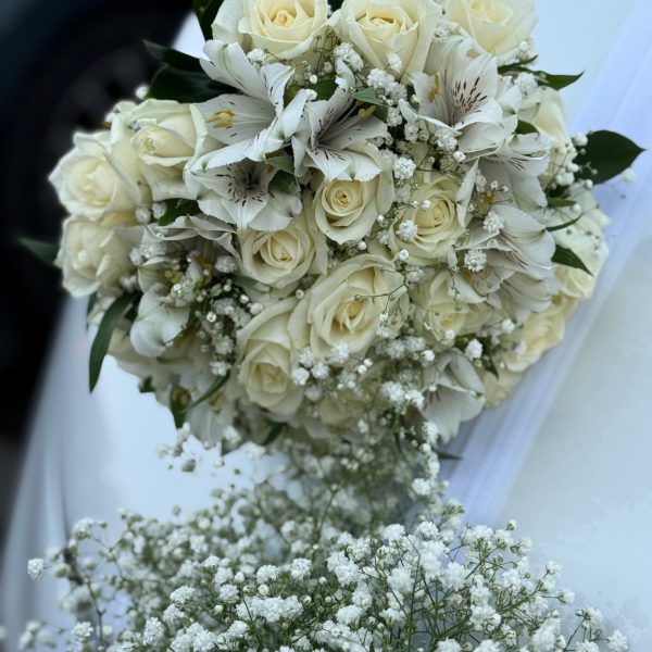 IMG-20250821-WA0158